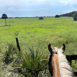 Meet your Posher, Sofia